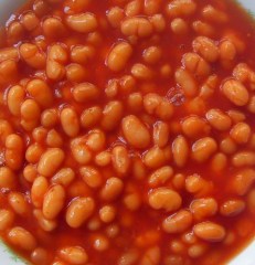 5eb5a833b295a9ea84571a844d586f592